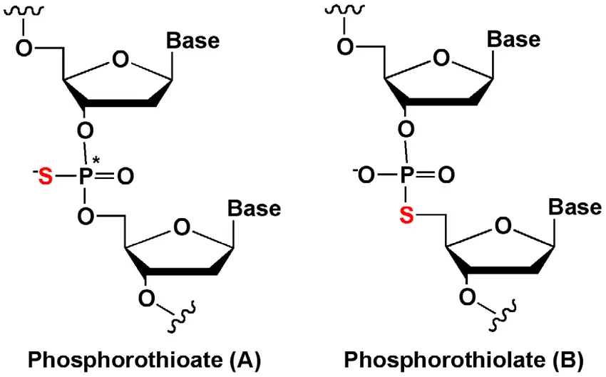 2'-Deoxycytidine- 5'-O-monophosphorothioate (5'-dCMPS); sodium salt : 5 umol (~1.6 mg)