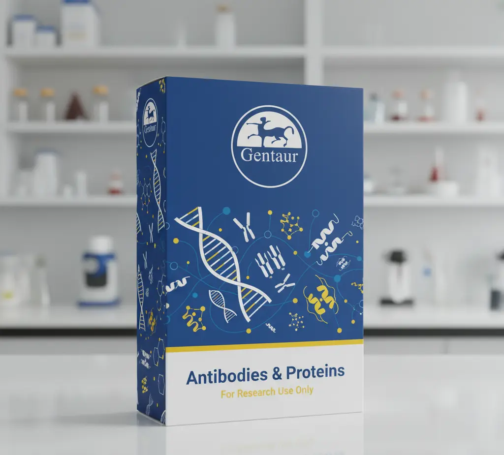 Anti-Umano Endogenous Retrovirus type K (HERV K) envelope proteina. IgG fraction (monoclonal) : 100 µg