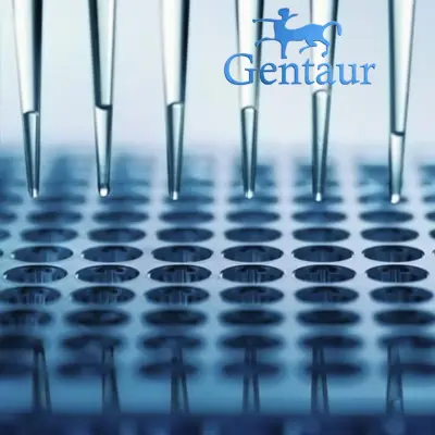 Mouse Anti-TNP IgG Elisa Kit : 96 Test