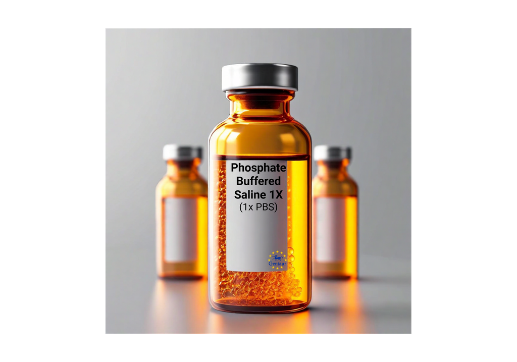 1x PBS filtrato 0,2 µm